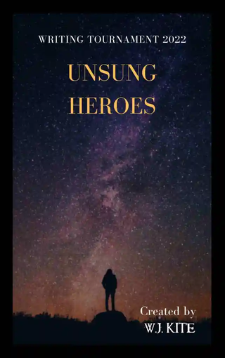 Cover of 'Unsung Heroes' - a silhouetted figure against a starry sky