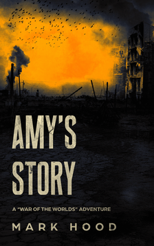 Amy's Story book cover