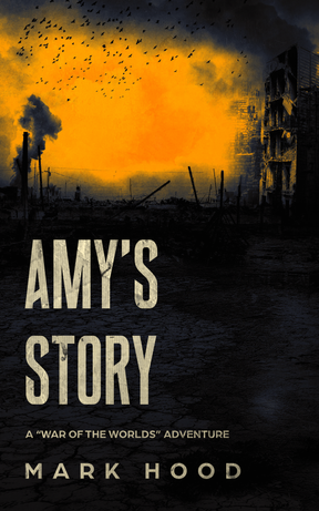 Amy's Story book cover